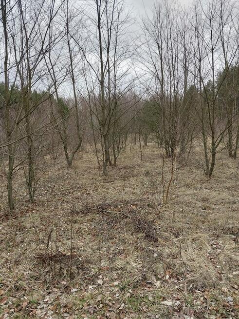 Sprzedam działkę bez pośredników