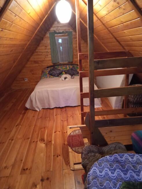 Wynajmę działkę z domkiem drewniany