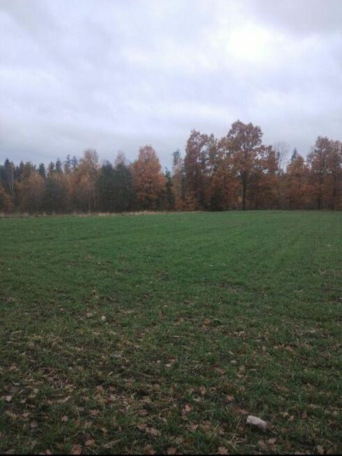 Działka grunt rolny plus Las CZYTAJ OPIS!