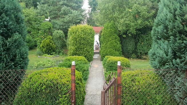 Działka ROD Sosnowiec Kalinowa