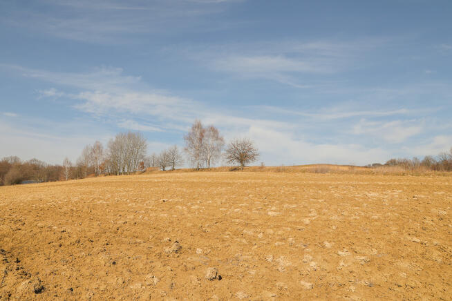 Działka budowlana w Jodłowej!