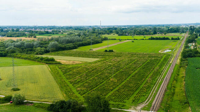 Działka inwestycyjna - wysoki i szybki zysk