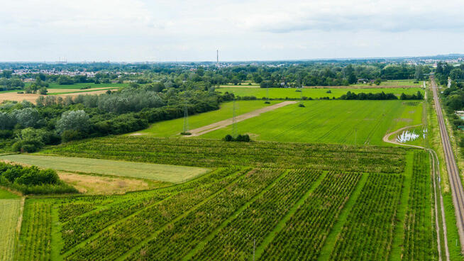 Działka inwestycyjna - wysoki i szybki zysk