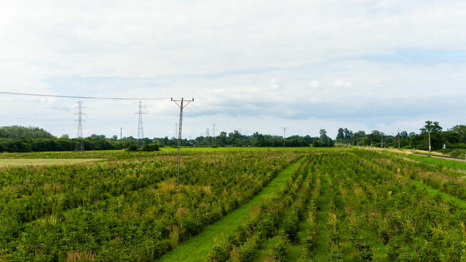 Działka inwestycyjna - wysoki i szybki zysk
