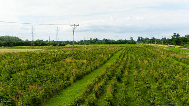 Działka inwestycyjna - wysoki i szybki zysk
