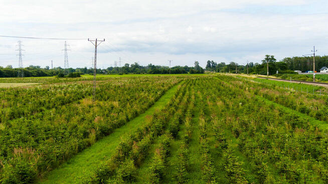 Działka inwestycyjna - wysoki i szybki zysk