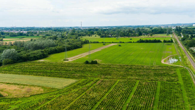 Działka inwestycyjna - wysoki i szybki zysk