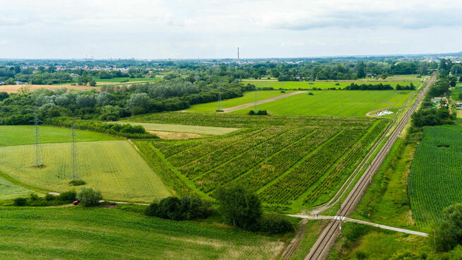 Działka inwestycyjna - wysoki i szybki zysk
