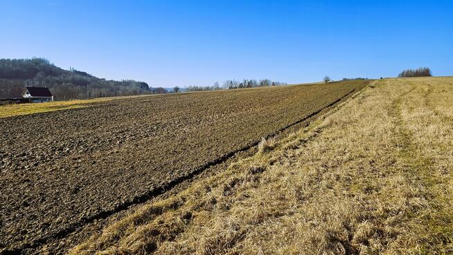 Budowlano- rolna- Karwodrza- Tuchów- Małopolska