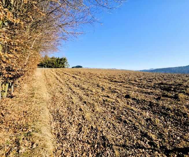 Budowlano- rolna- Karwodrza- Tuchów- Małopolska