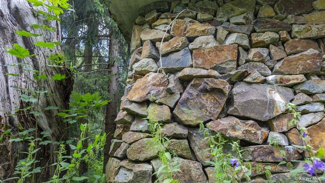 Siedlisko w Bieszczadach