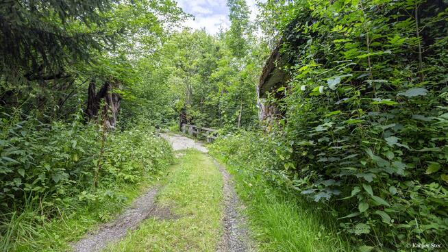 Siedlisko w Bieszczadach