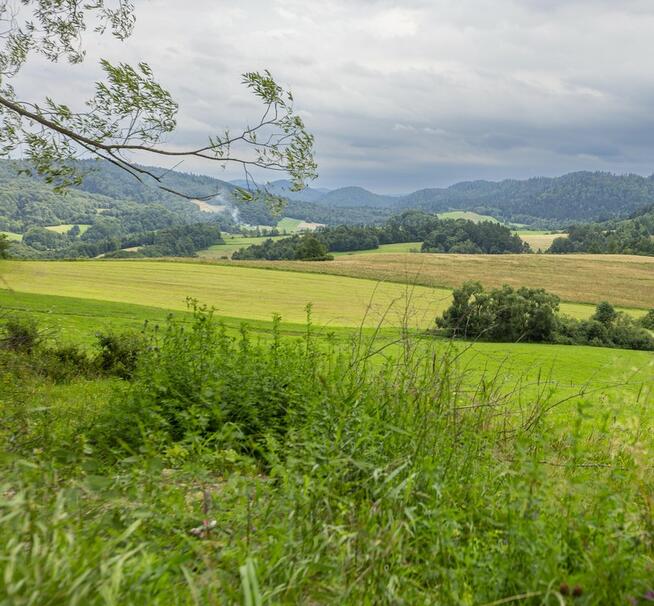 Działka budowlana- Kielczawa