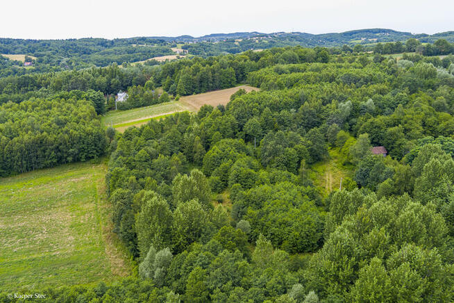 Działka rolna- Buchcice koło Tuchowa