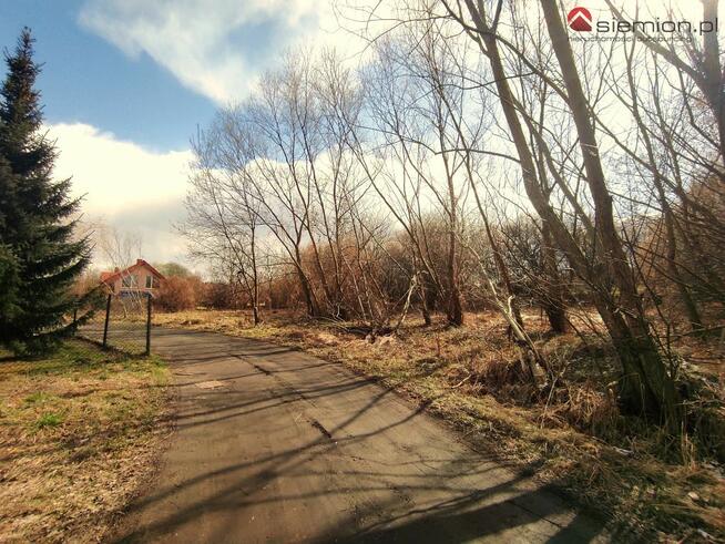 Działka budowlana Rogoźnik gm. Bobrowniki