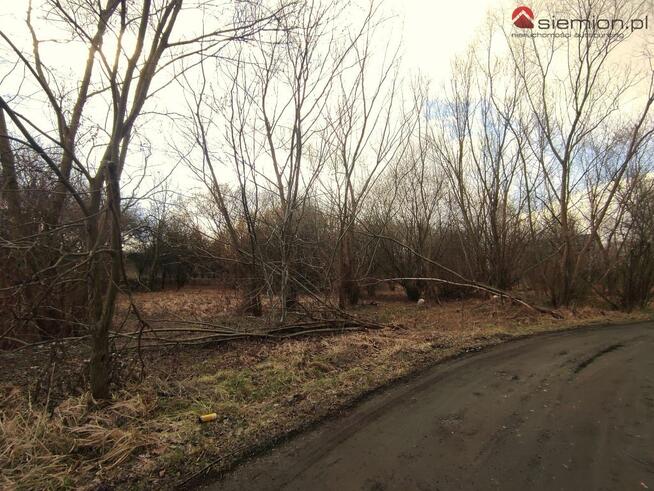 Działka budowlana Rogoźnik gm. Bobrowniki