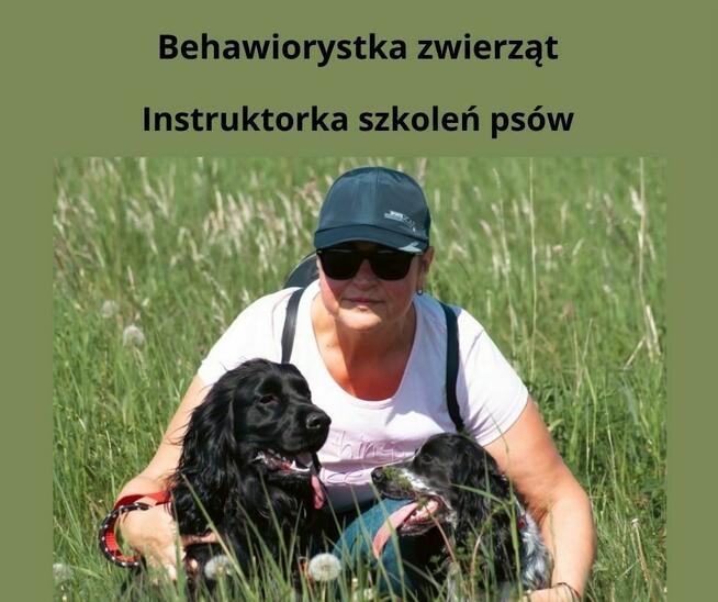 Behawiorystka zwierząt, Instruktorka szkoleń psów