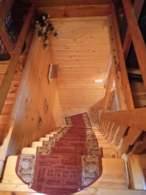 Wynajmę działkę z domkiem drewniany