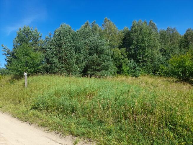 Działki Mazury, warunki zabudowy