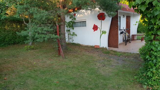 Działka ROD Sosnowiec Kalinowa