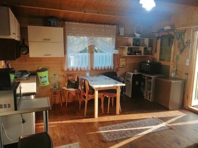 Działka ROD 400m2 Zacisze Sępólno Krajeńskie