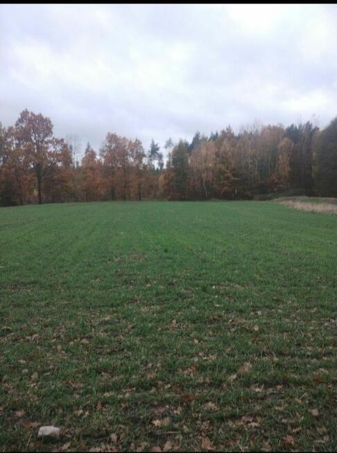 Działka grunt rolny plus Las CZYTAJ OPIS!