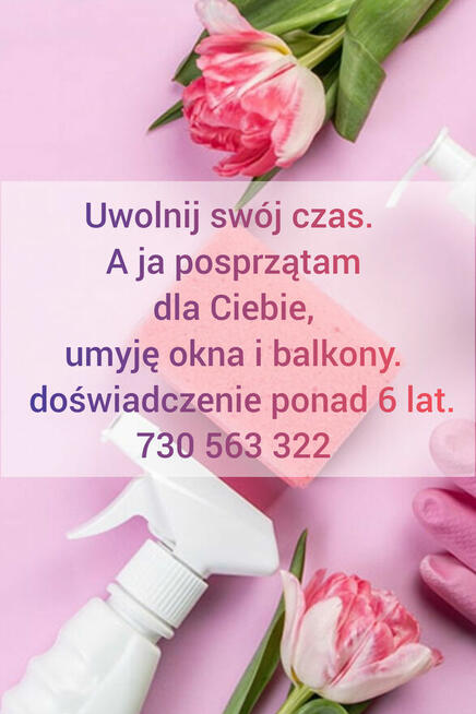 Ja posprzątam, a Ty oszczędzisz swój czas.