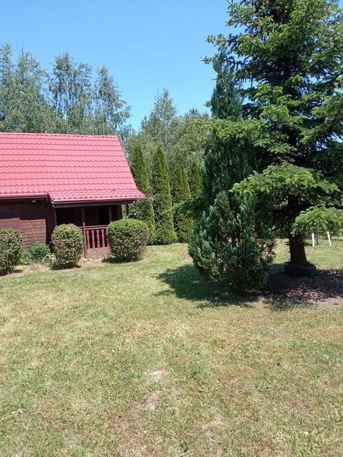 Wynajmę działkę z domkiem drewniany