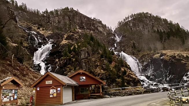 Żyjemy tak jak śnimy - samotnie !