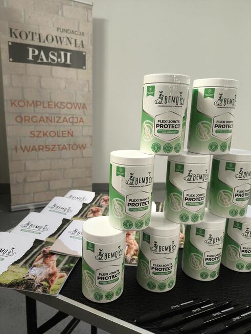 Szkolenie dla groomerów - Cocker Spaniel Angielski