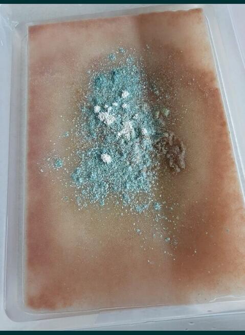 Auloforus - pokarm dla ryb. 25 zł Wysyłka !