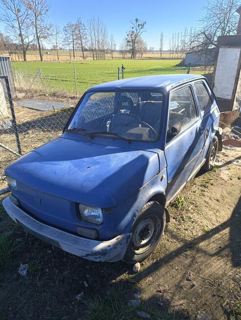 Maluch maly fiat zarejestrowany