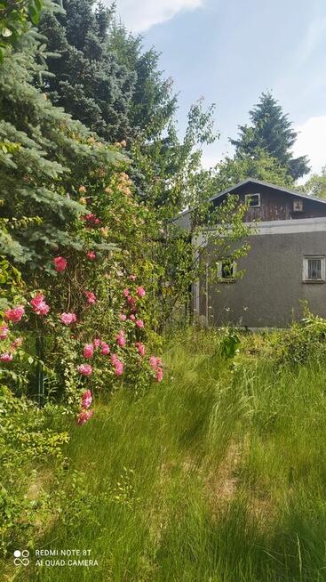 Sprzedam działkę ROD „Zacisze” w Puławach