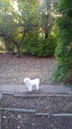 Sprzedaż prawa do dzierżawy działki ROD w Warszawie- Zacisze