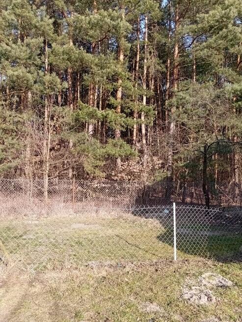 Sprzedam bezpośrednio siedlisko z budynkami gospodarczymi .