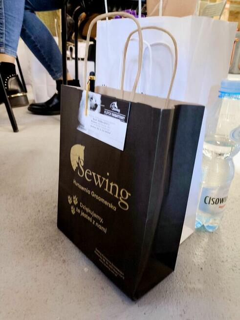 Szkolenie dla groomerów - Cocker Spaniel Angielski