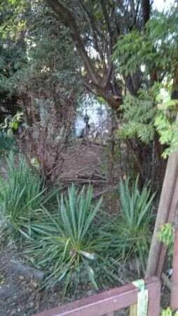 Sprzedaż prawa do dzierżawy działki ROD w Warszawie- Zacisze