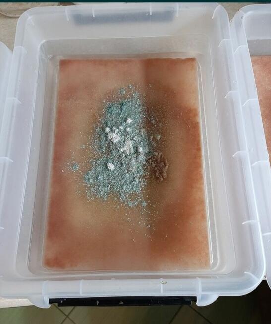 Auloforus - pokarm dla ryb. 25 zł Wysyłka !