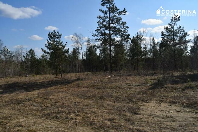 Działka budowlana Parchowo