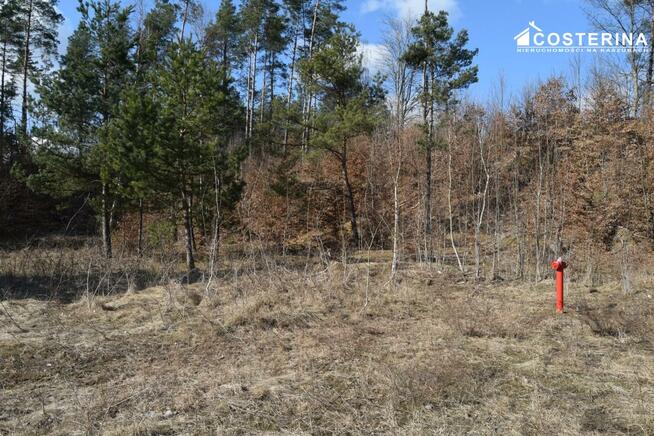 Działka budowlana Parchowo