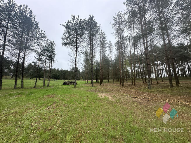 Tałty, działka bud. bezpośrednia linia brzegowa