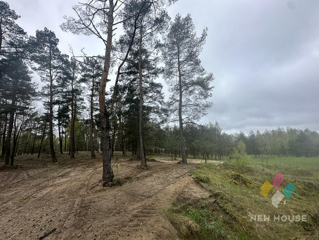 Tałty, działka bud. bezpośrednia linia brzegowa