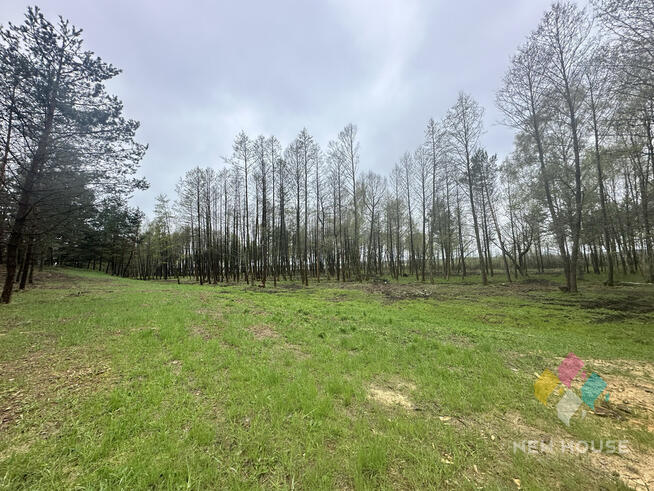 Tałty, działka bud. bezpośrednia linia brzegowa