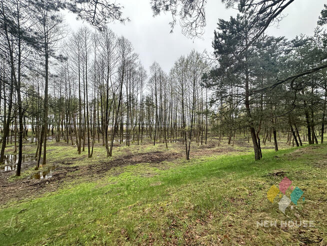 Tałty, działka bud. bezpośrednia linia brzegowa