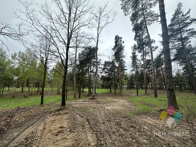 Tałty, działka bud. bezpośrednia linia brzegowa