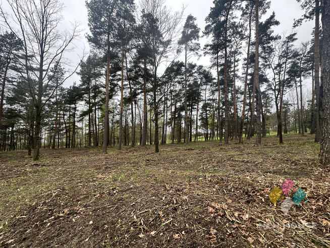 Tałty, działka bud. bezpośrednia linia brzegowa