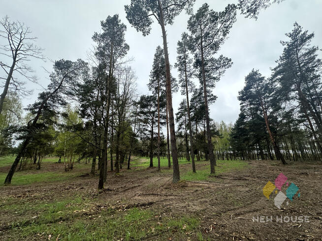 Tałty, działka bud. bezpośrednia linia brzegowa