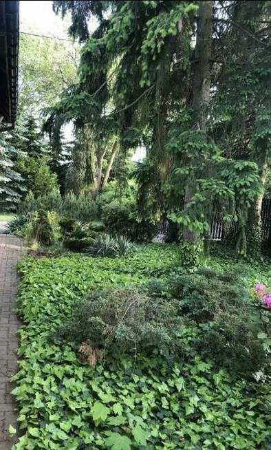 Działka budowlana Warszawa Wawer, Anin Sadul