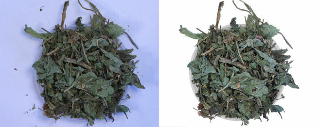 Usługi w zakresie obróbki zdjęć