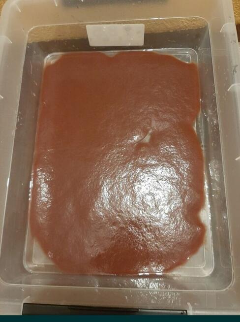 Auloforus - pokarm dla ryb. 25 zł Wysyłka !